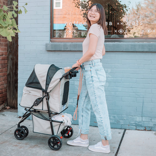 Woman sitting next to a blue and black pet stroller.