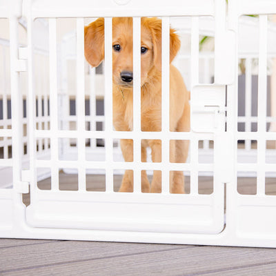 Whelping Pens 101: Why They’re a Game Changer for Dog Owners