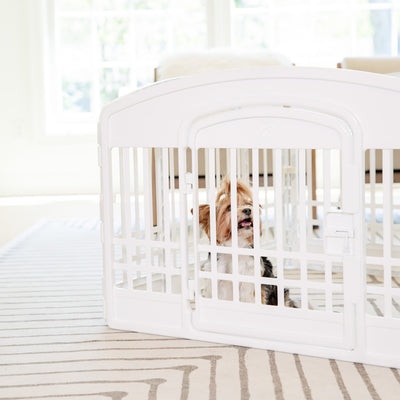 The Best Pet Pen for Traveling: Carlson 4-Panel Pet Pen Review