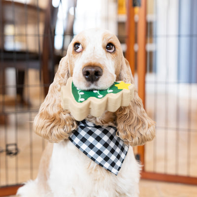 3 Homemade Dog Treat Recipes for Christmas