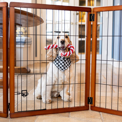 3 Homemade Dog Treat Recipes for Christmas