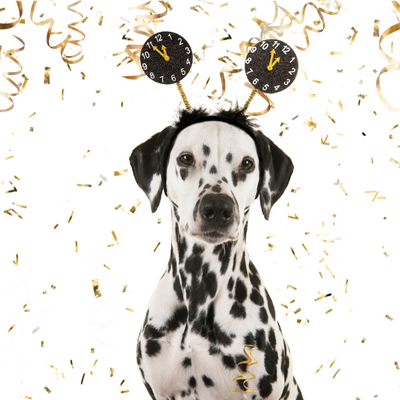 5 New Year’s Goals for You and Your Pet