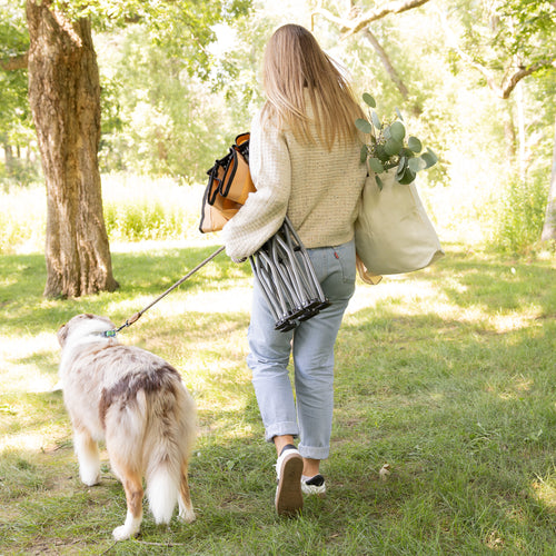 White dog in a forest being hugged by girl.