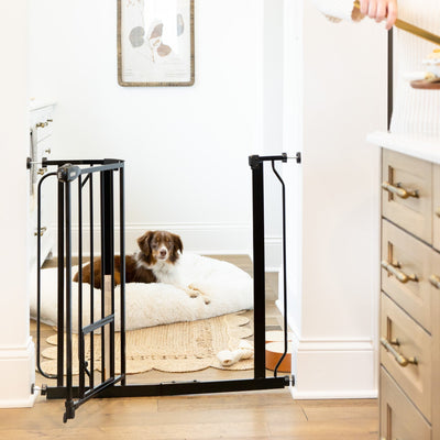 5 Reasons Pet Gates Help Your Dog During the Holidays