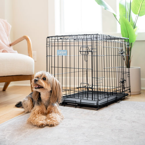 How to Choose the Type and Size of Dog Crate