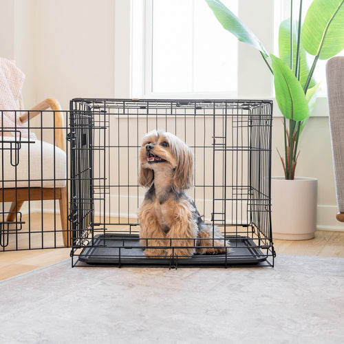 Carlson® Wins 2025 Pet Innovation Award