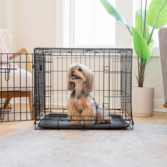 Carlson® Wins 2025 Pet Innovation Award