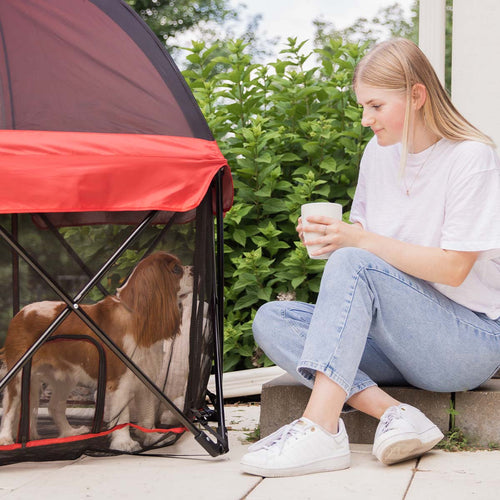 5 Questions to Ask Your Dog Sitter
