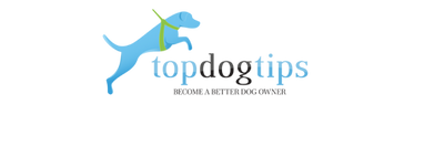 Top Dog Tips
