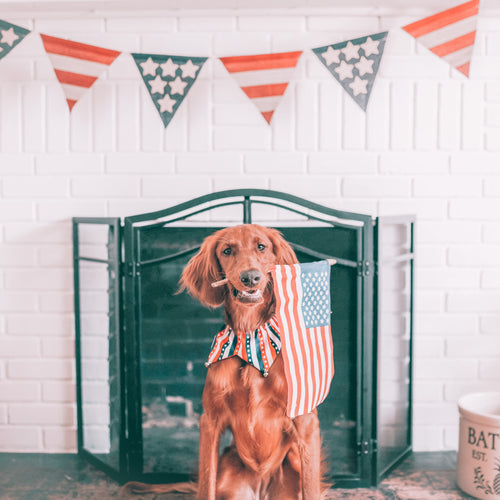 dog holding an American flag in his mouth in front of a white fire place.