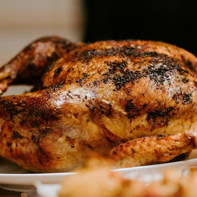 3 Homemade Dog Food Recipes with Turkey