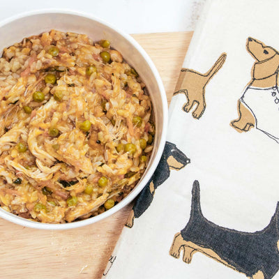 Homemade Instant Pot Dog Food Recipes