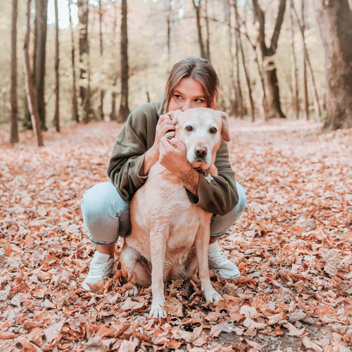 White dog in a forest being hugged by girl.
