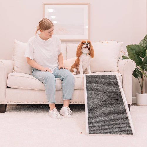 Does My Dog Need a Pet Ramp?