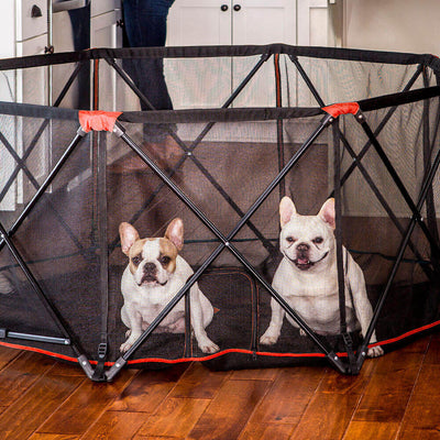 10 Uses For The Carlson Portable Pet Pen