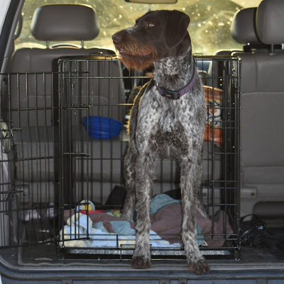 Choosing A Travel Crate For Your Dog
