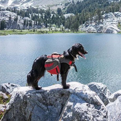 Breezy: the ultimate hiking partner