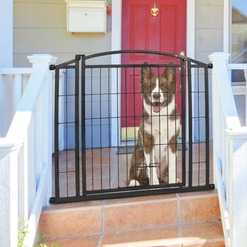 Dog on a deck standing behind the Outdoor Walk-Thru Pet Gate.