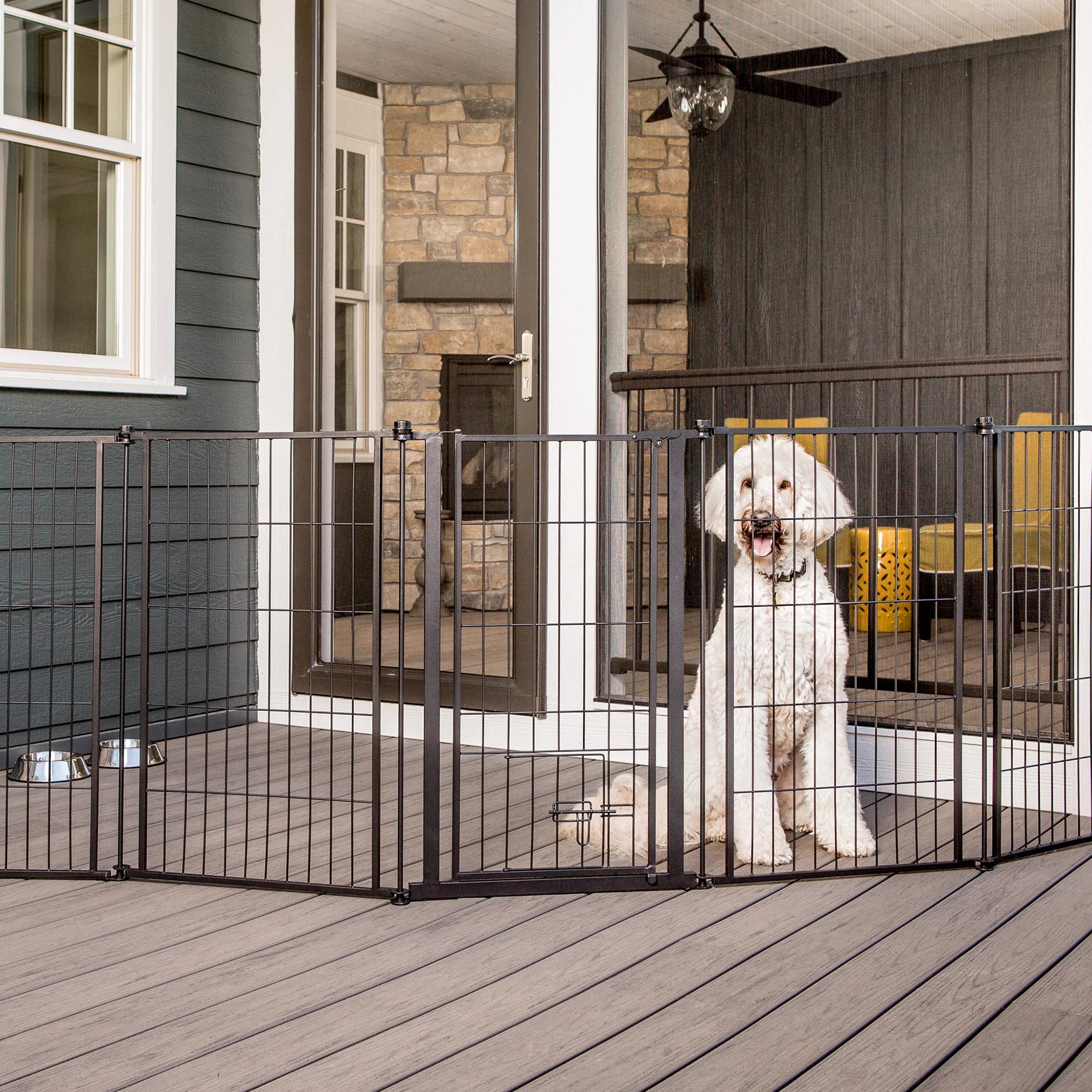 Dog sitting behind gate on patio.