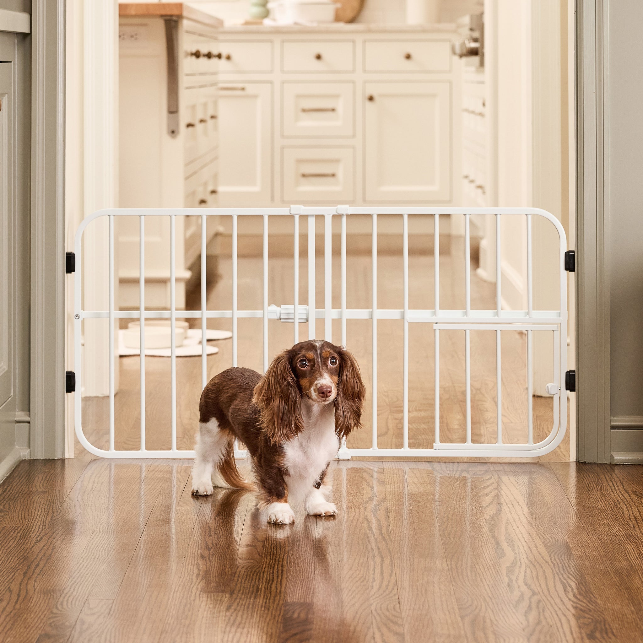 Dog standing behind a white pet gate in a kitchen.