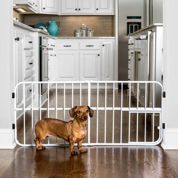 White Carlson Lil Tuffy® Expandable Pet Gate with small pet door, designed for small dogs and pets. The gate stands 18” tall and expands to fit openings between 22” to 38”. It features a sturdy all-metal frame and a pressure-mount system with rubber bumpers to protect walls.