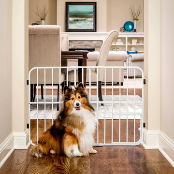 Dog sitting in front of Tuffy® Pet Gate by a dining room and kitchen.