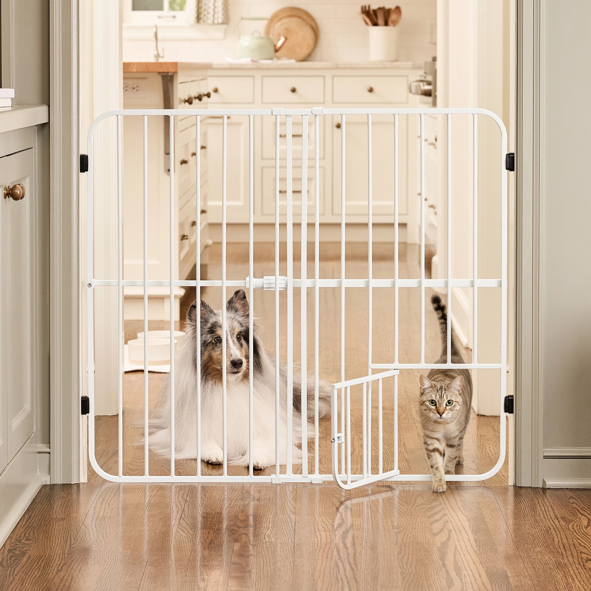 White pet gate with a dog and cat on either side in a home setting.