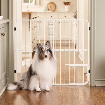 Dog standing behind a white metal gate in a home setting