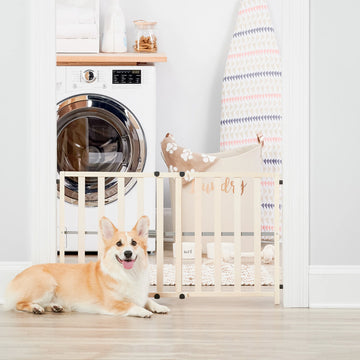 Small dog sitting in front of the Wooden Expandable Pet Gate in a laundry room.