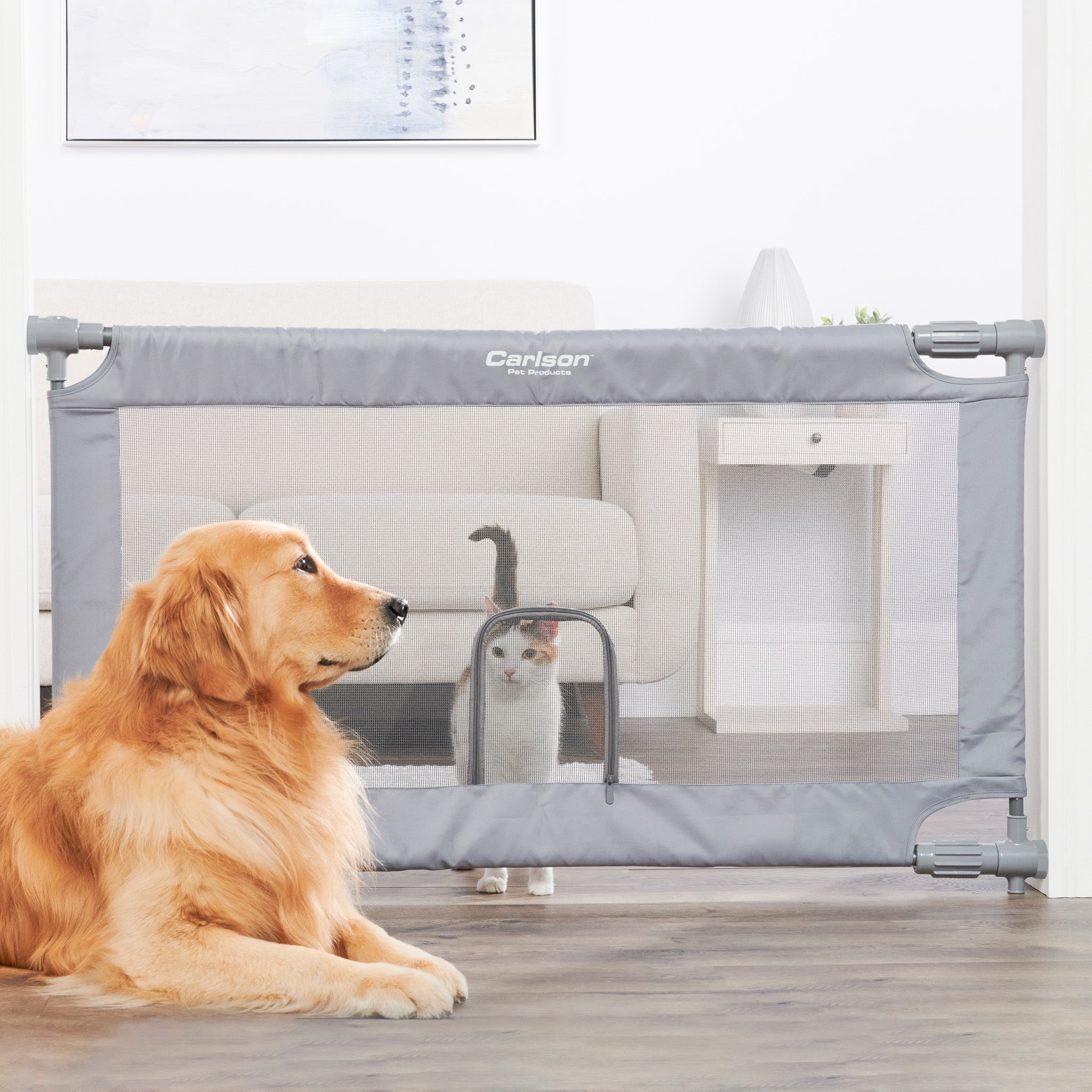 Dog sitting in front of Expandable Mesh Pet Gate with cat behind it.