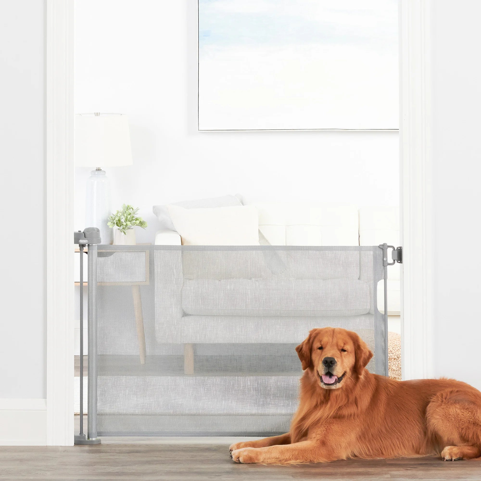 Dog in a living room sitting in front of the Retractable Pet Gate.