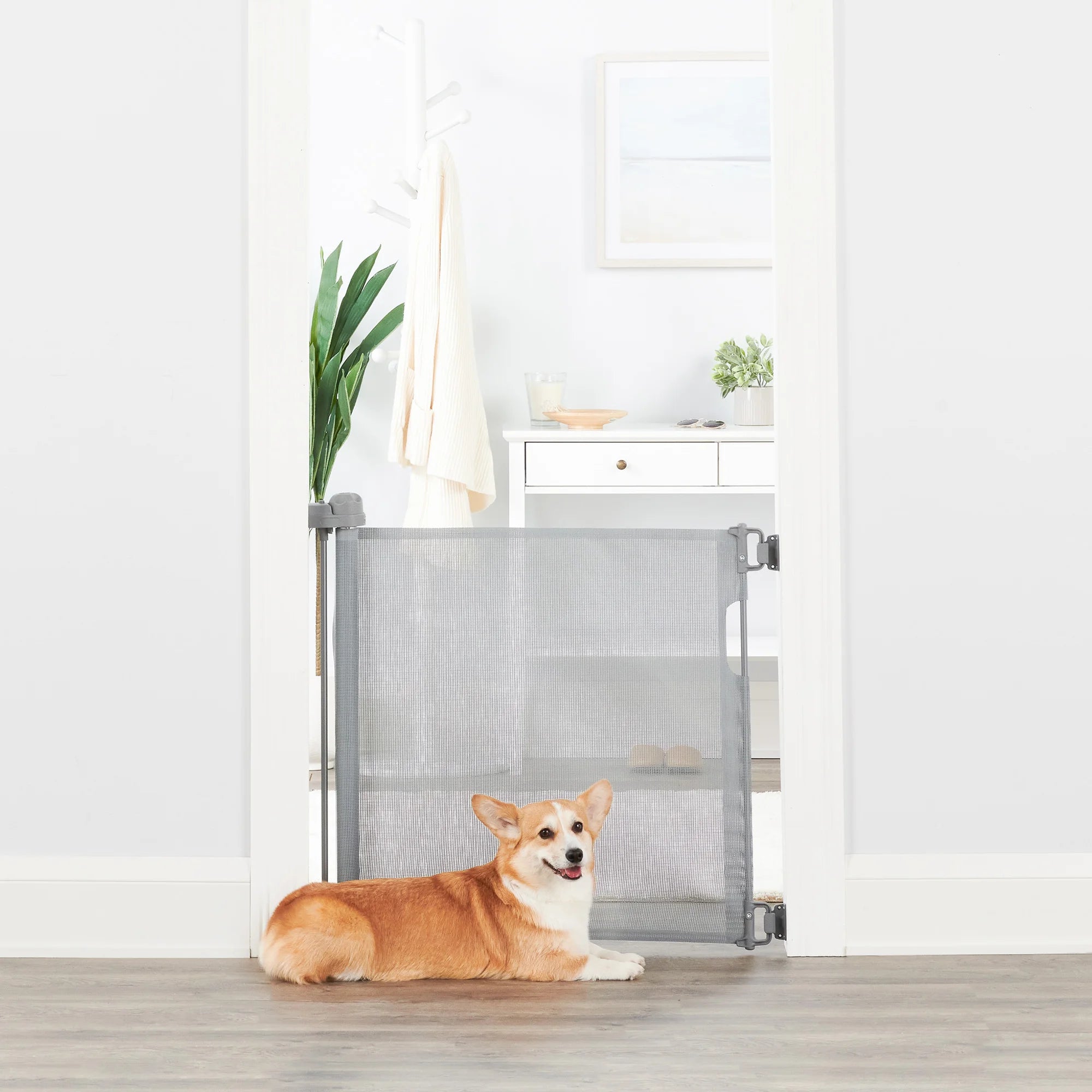 Small dog sitting in front of Retractable Pet Gate.