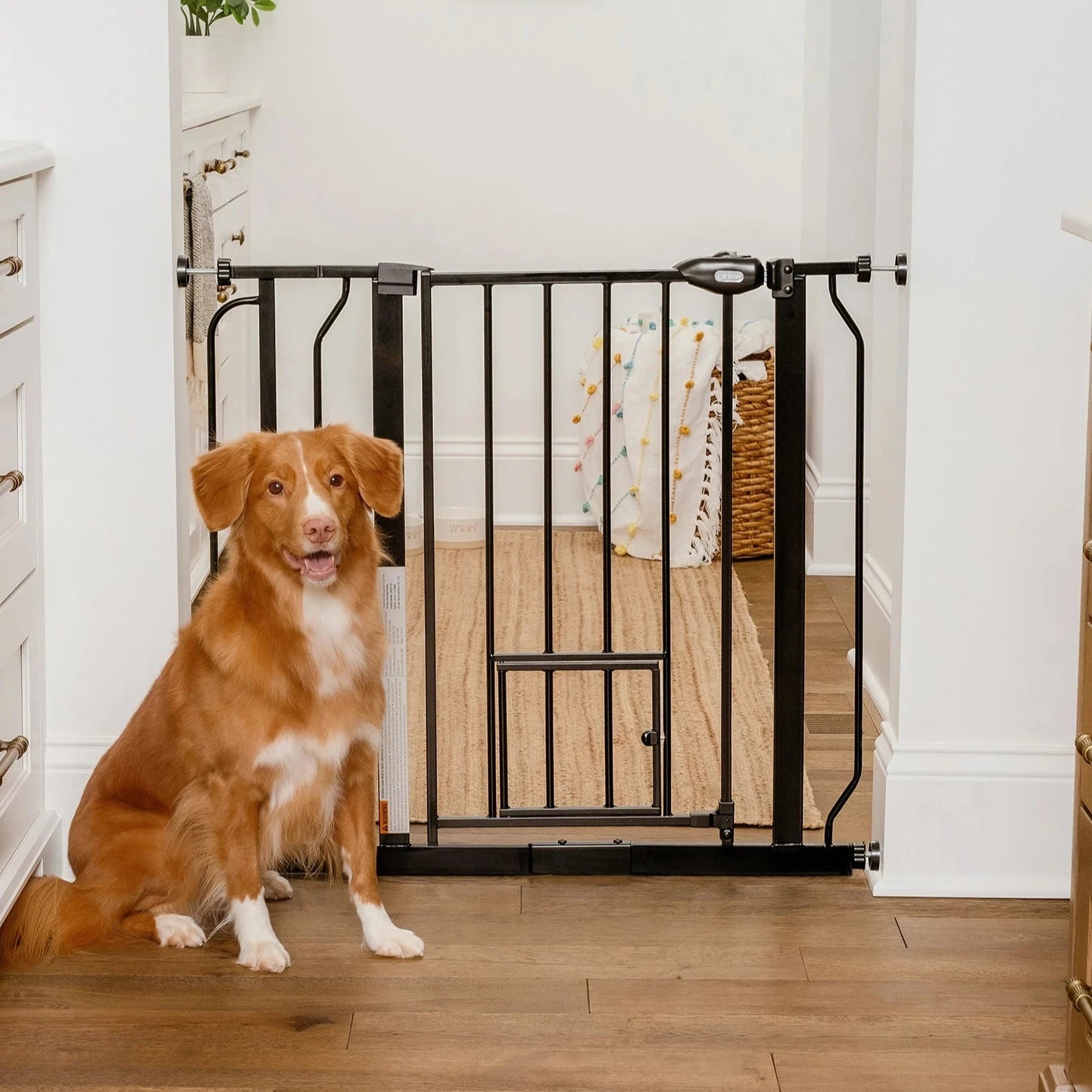 Regalo Gate Carlson Pet Products 24-Inch Wide Extension Kit