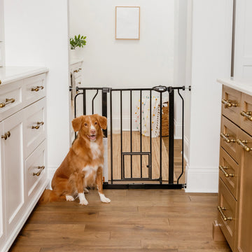 Extra Wide Walk-Thru Pet Gate