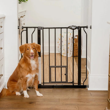 Carlson Extra Wide Walk-Thru Pet Gate in white with a small pet door, designed for easy installation and secure containment. Perfect for homes with pets of all sizes, featuring a durable, chew-resistant frame.