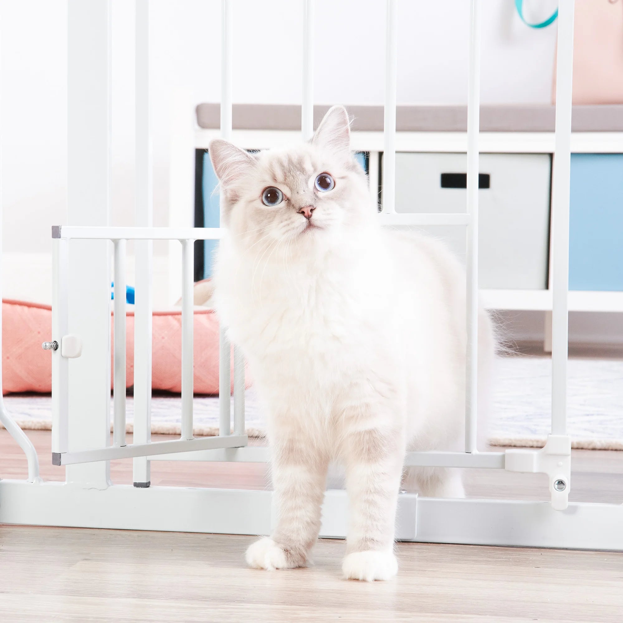 Cat standing in the Small Pet Door of the Extra Wide Walk-Thru Pet Gate.