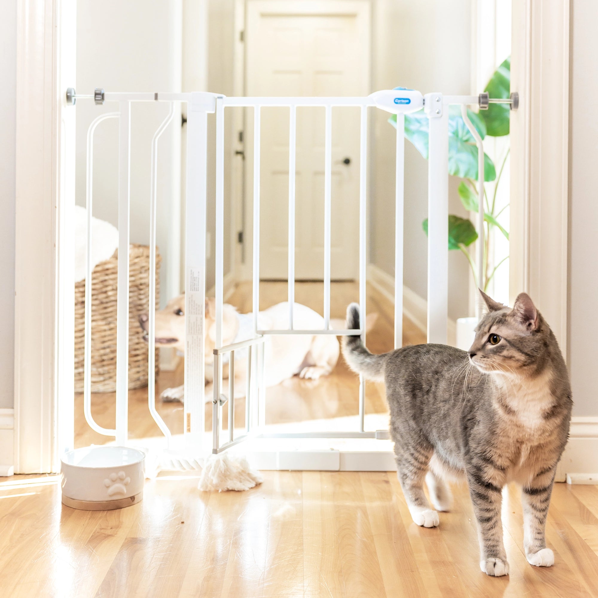 Carlson Extra Wide Walk-Thru Pet Gate with Small Pet Door in white, featuring a durable steel frame, easy walk-through door, and pressure-mount system for simple installation and secure pet containment.