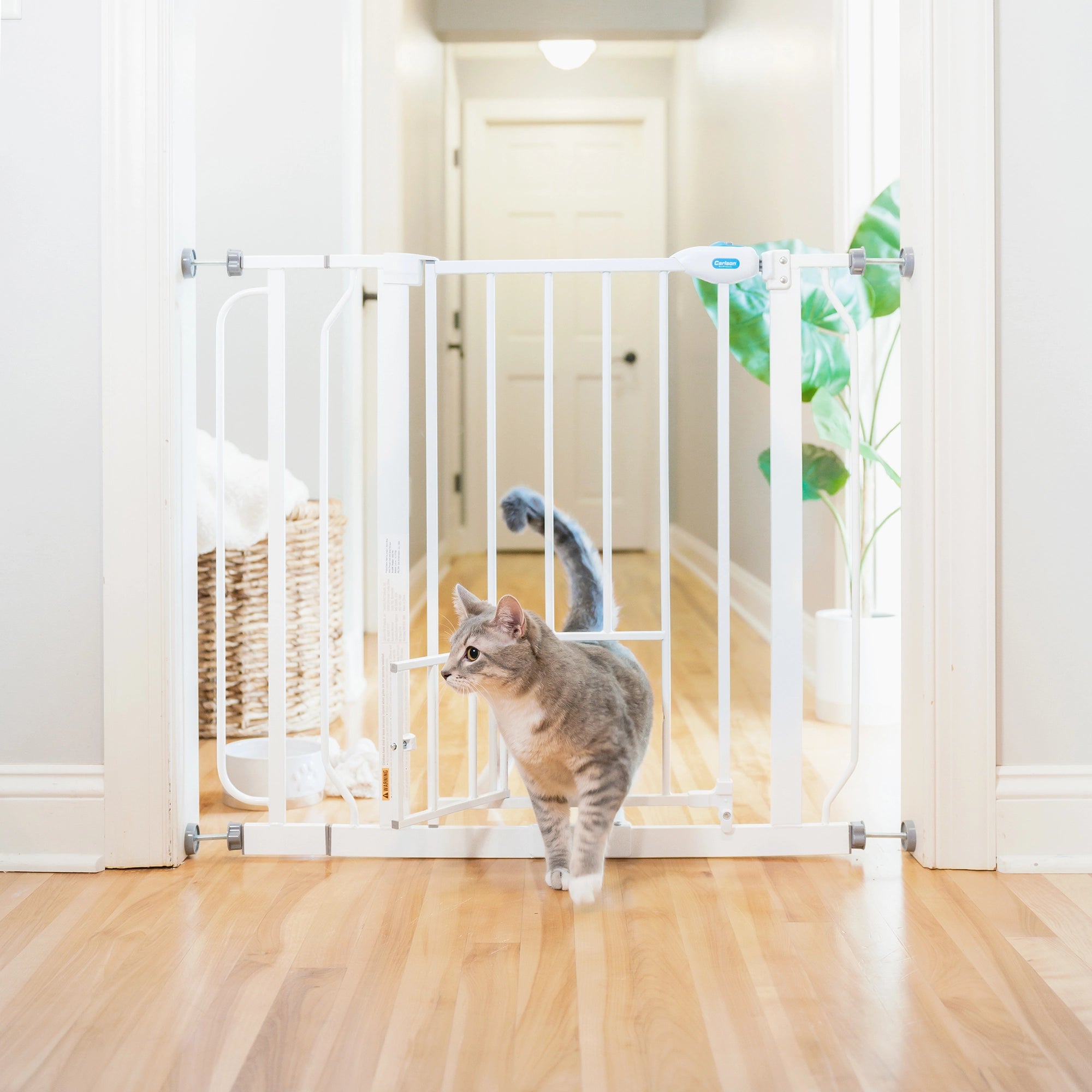 Extra Wide Walk-Thru Pet Gate