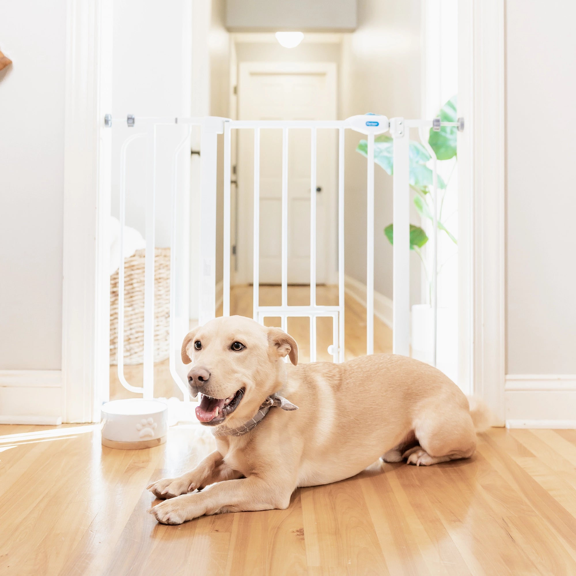 Extra Wide Walk-Thru Pet Gate