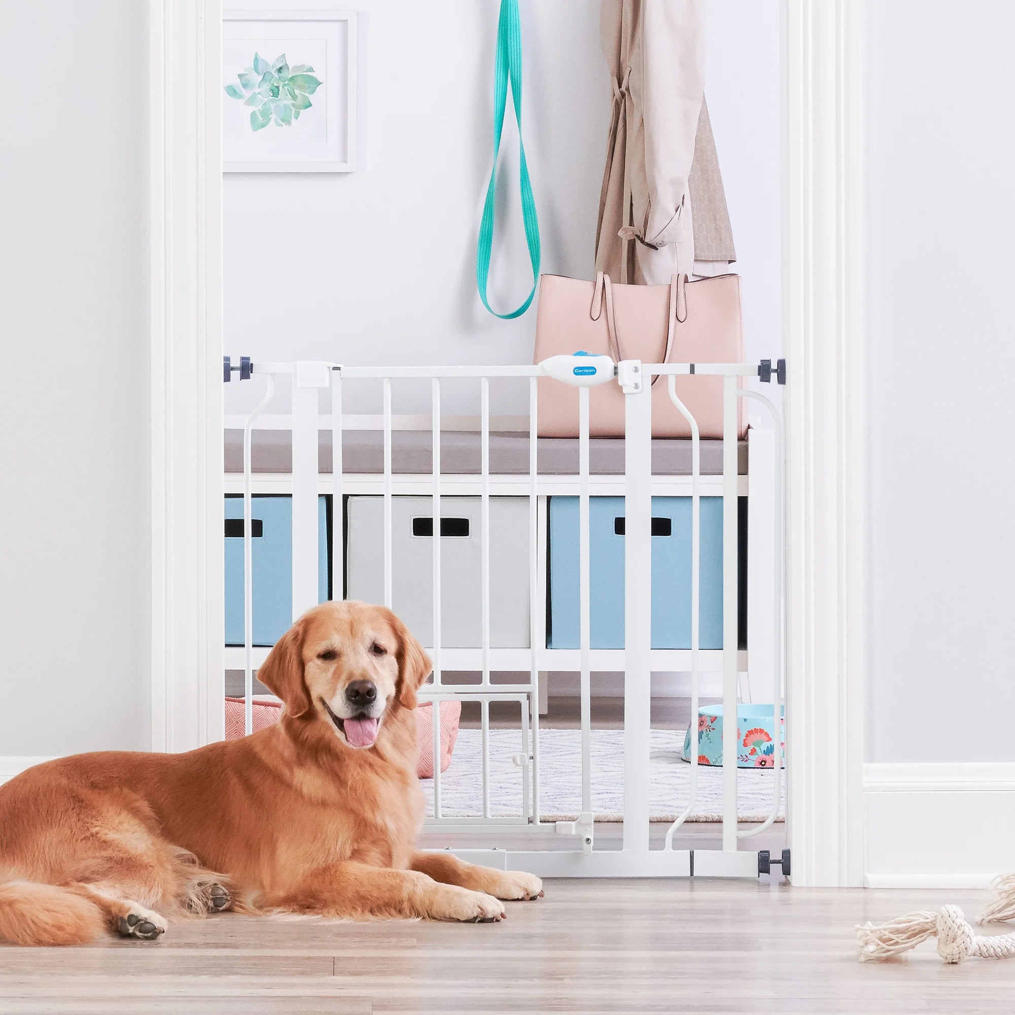 Extra Wide Walk-Thru Pet Gate - Install Tutorial - Carlson Pet Products 