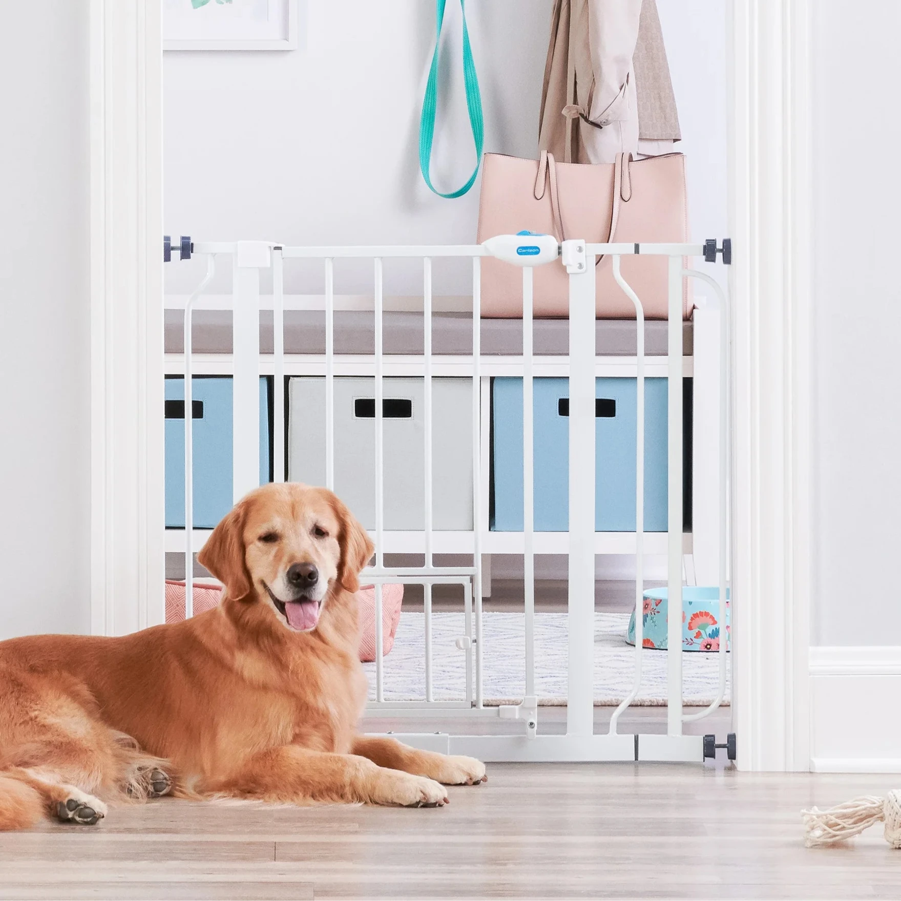 Dog sitting in front of Extra Wide Walk-Thru Pet Gate in mud room.