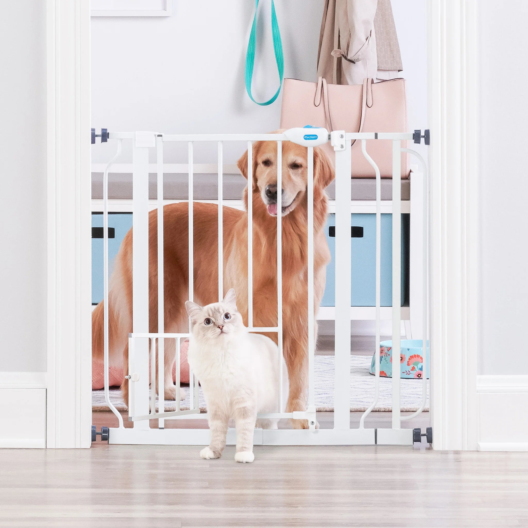 Dog sitting behind Extra Wide Walk-Thru Pet Gate in mud room with cat standing in small pet door.