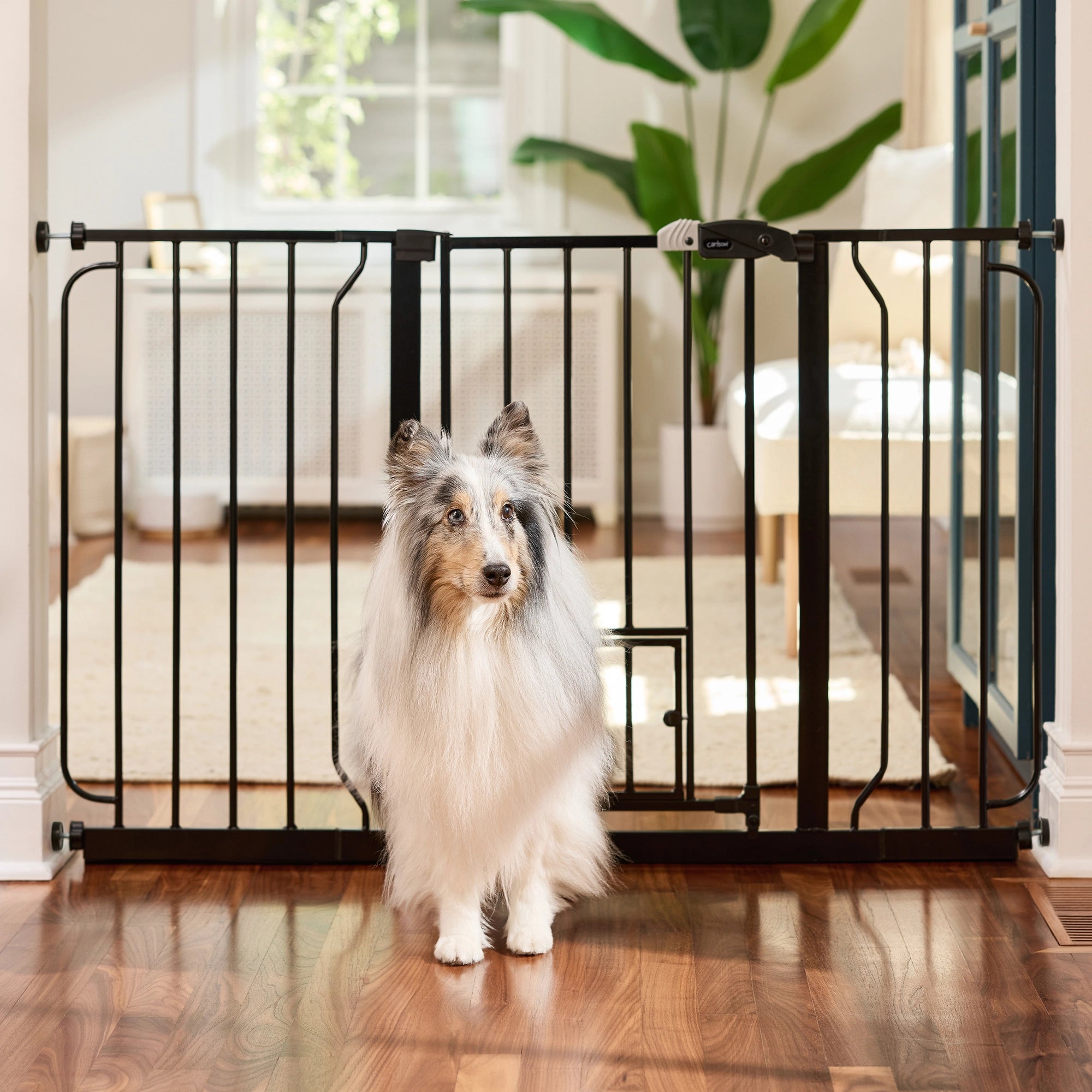 Pet baby gate walk through sales