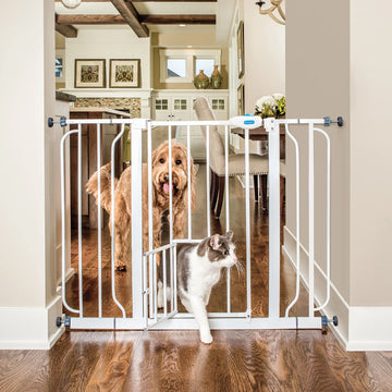 Dog standing in kitchen behind 44" Extra Wide Pet Gate with cat walking through Small Pet Door.