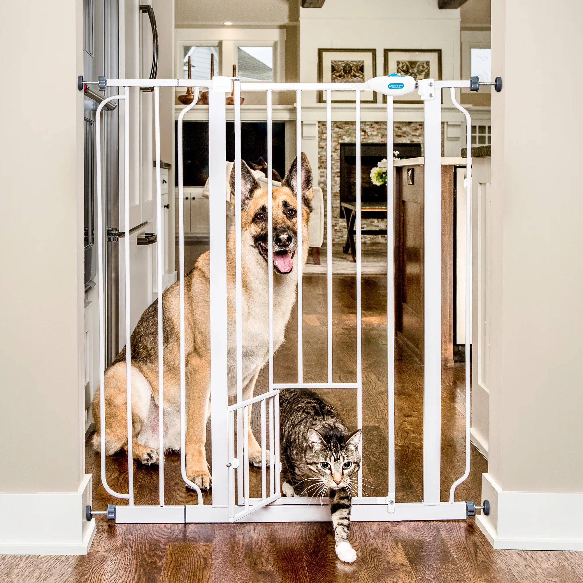 Dog sitting in kitchen and cat walking through Small Pet Door of 41" Extra Tall Walk-Thru Pet Gate.