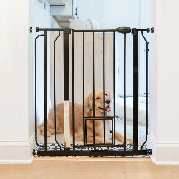 Carlson 36-inch Extra Tall Walk-Thru Pet Gate พร้อมประตูสัตว์เล็ก