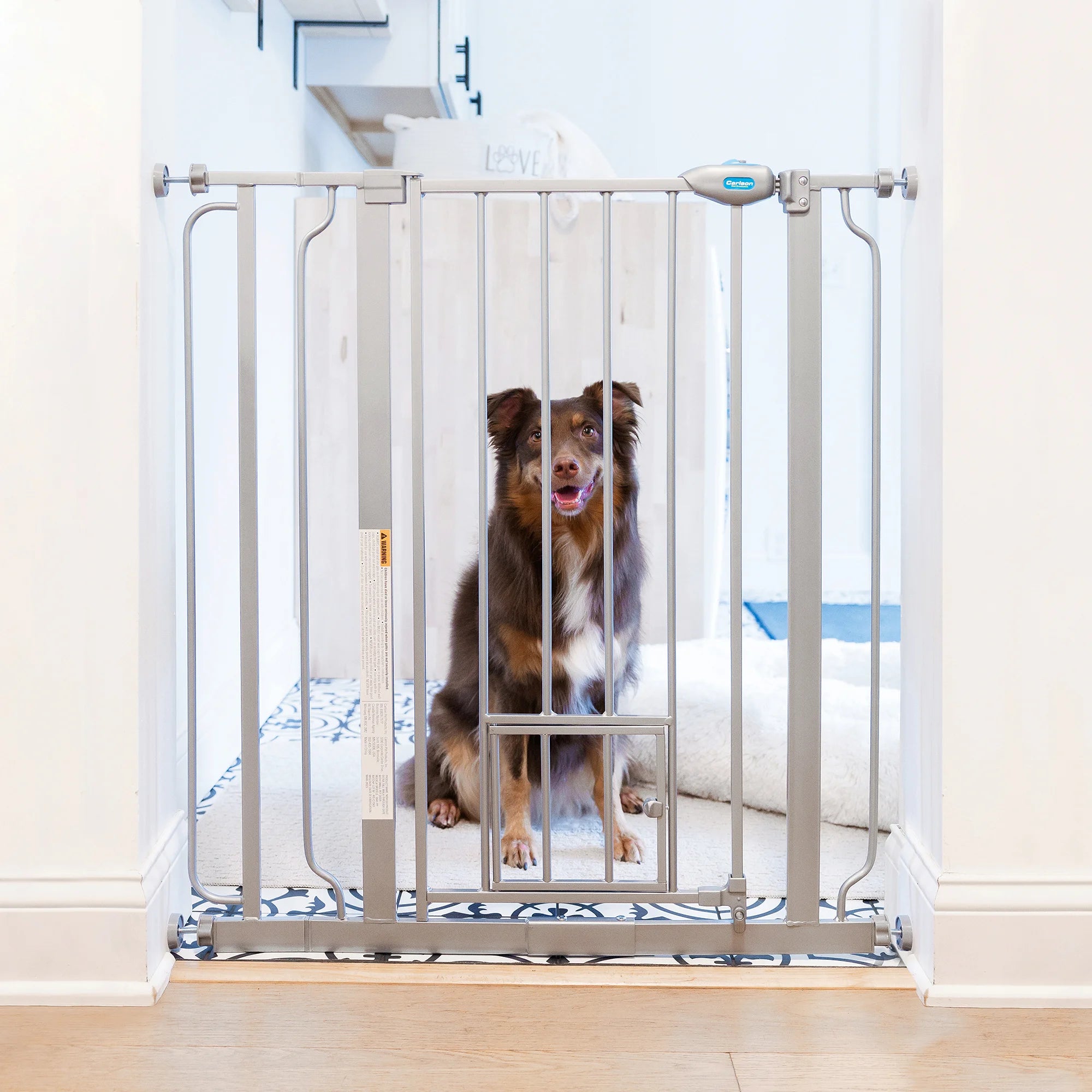 Tall walk thru pet gate best sale