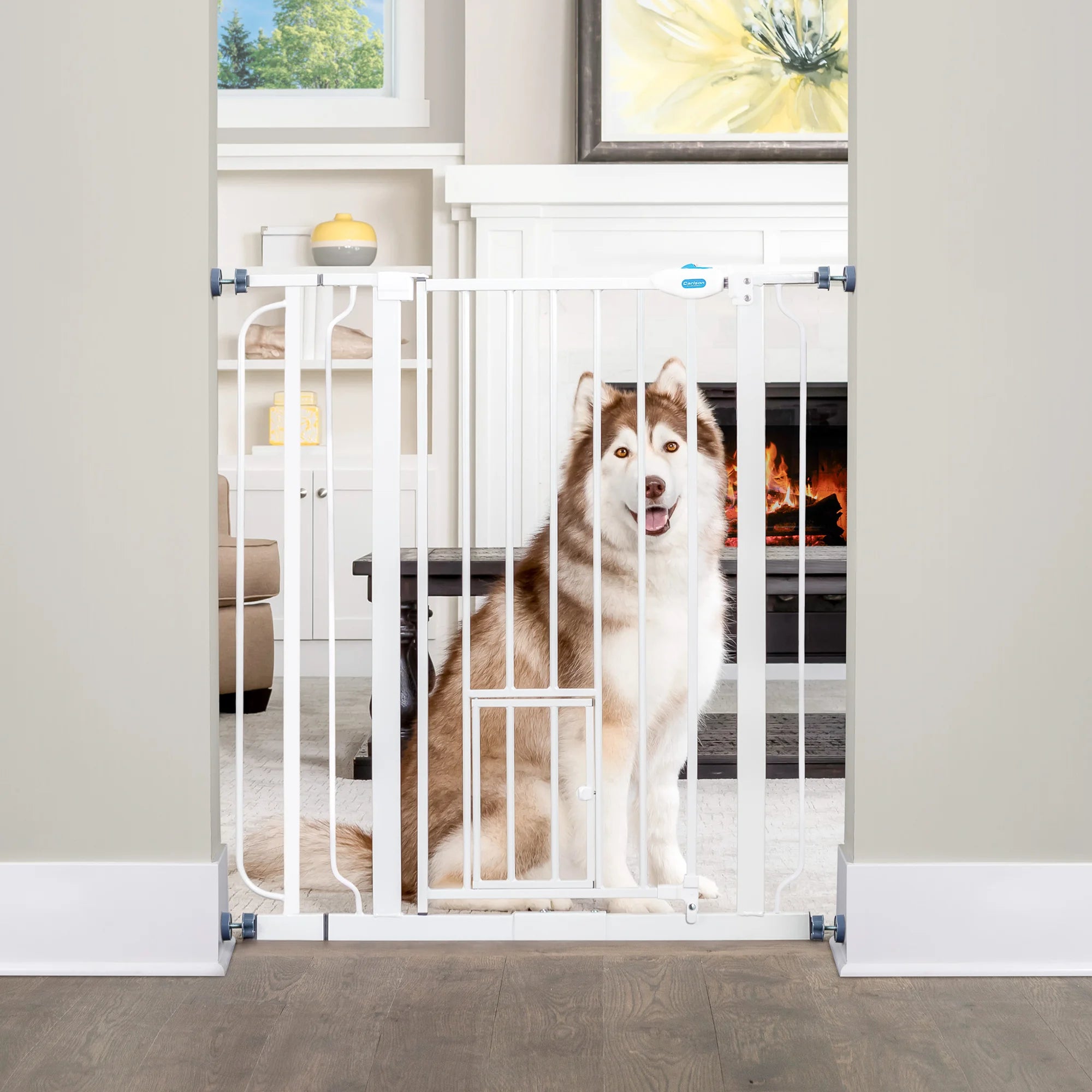 Pets at top home dog gates
