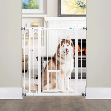 Dog in living room sitting behind the 36" Extra Tall Walk-Thru Pet Gate.