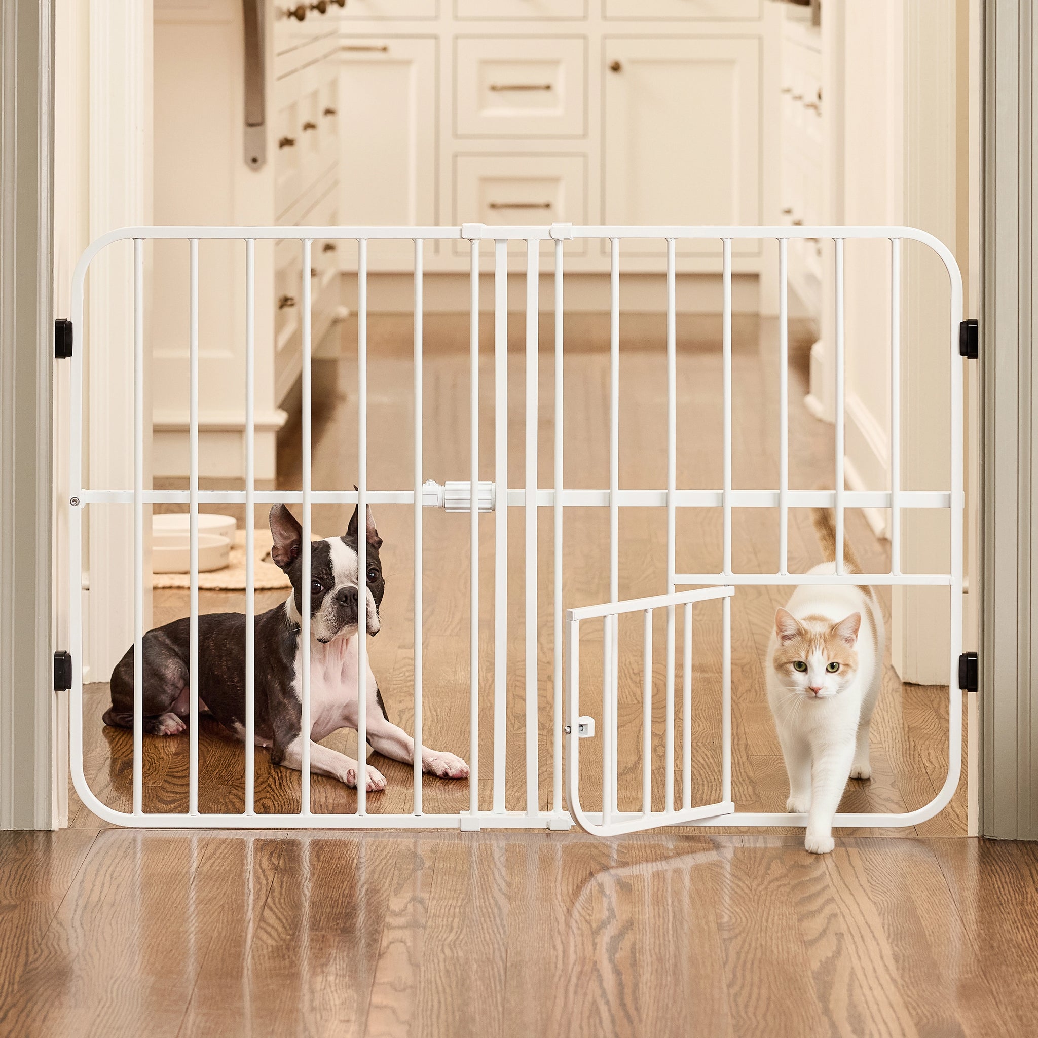 White pet gate with a dog and cat on either side in a home setting.